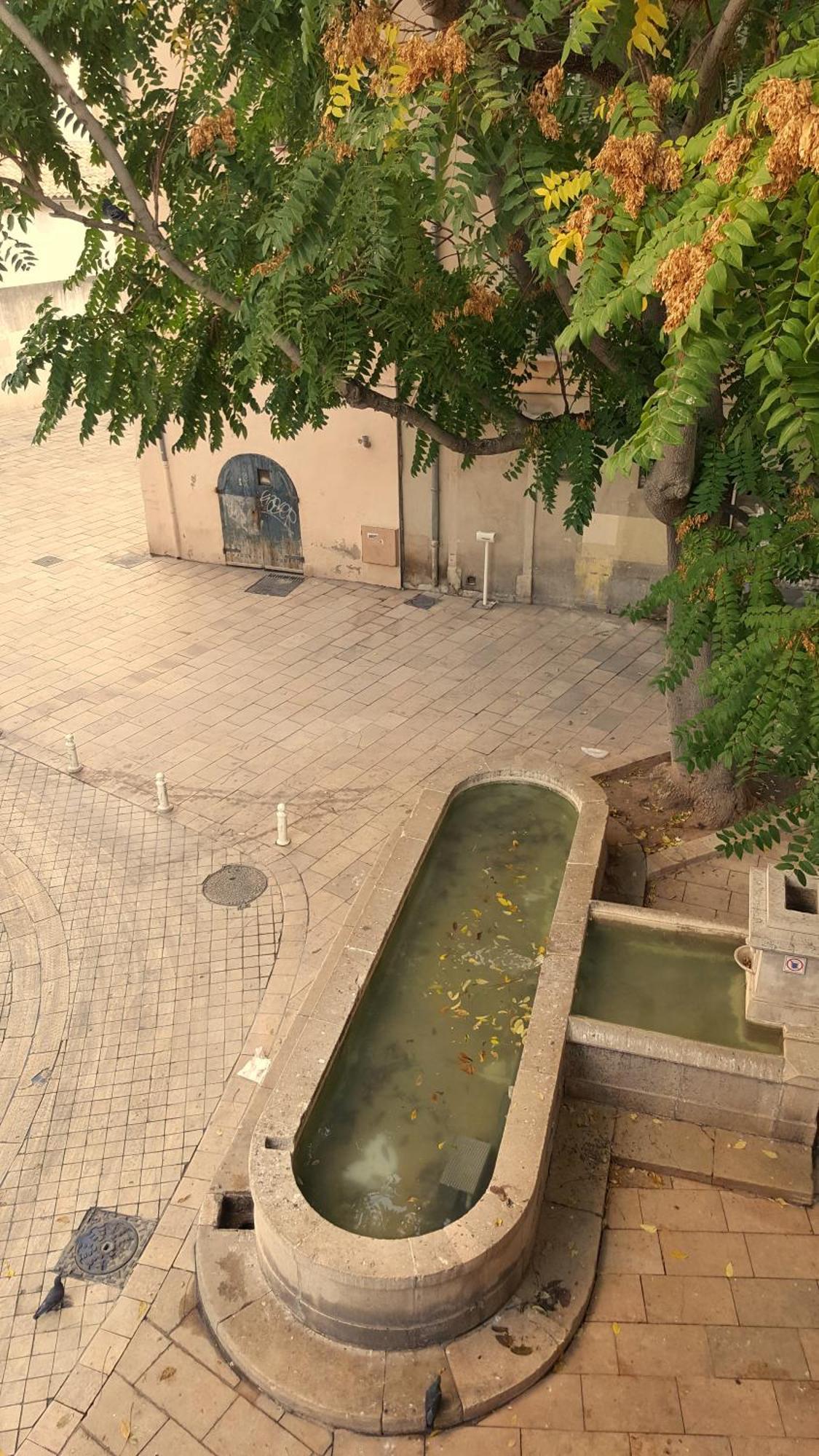 #1 # Place Charmante Toulon
